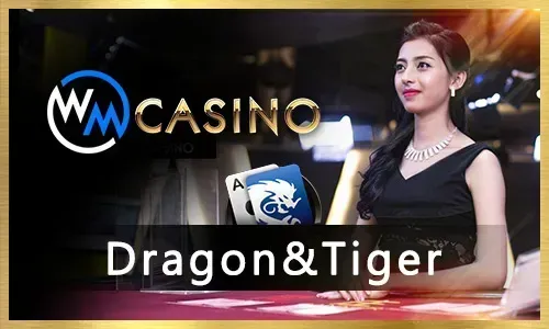 Jili99 Live Casino